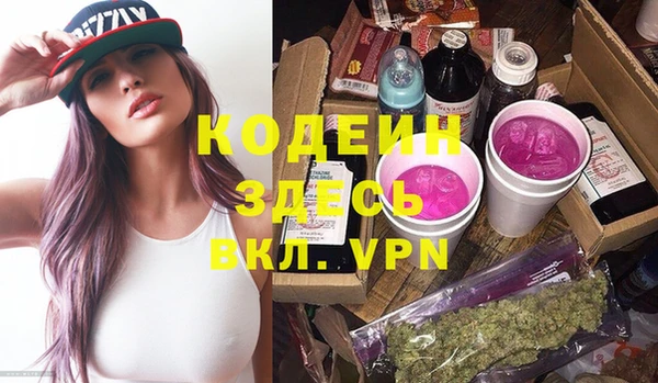 спиды Вяземский
