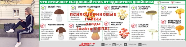 спиды Вязьма