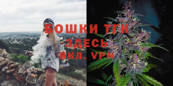 спиды Вяземский