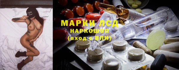 спиды Вяземский