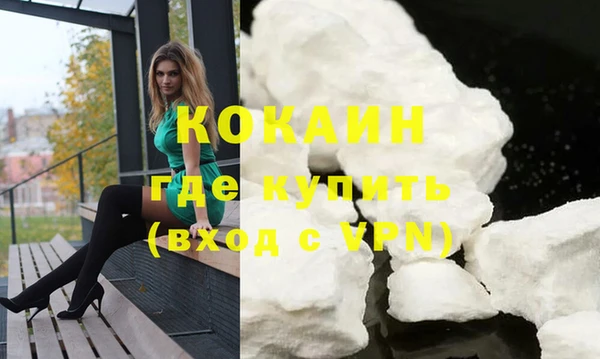 спиды Вяземский