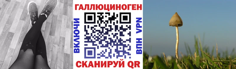 Галлюциногенные грибы ЛСД  Купить где  Кольчугино 